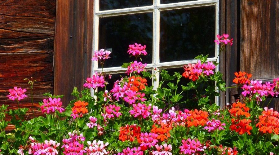 Ge ditt hus en genuin känsla med spröjsade sidohängda fönster