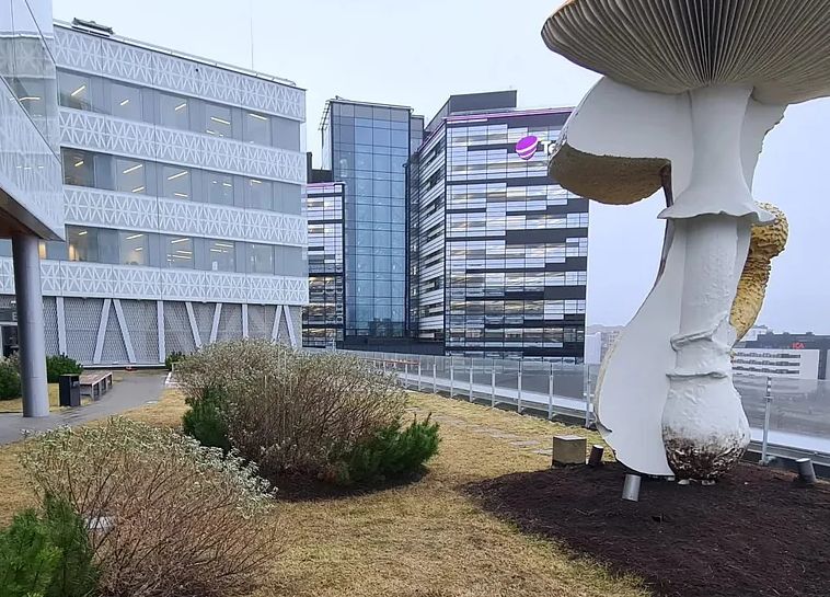 Trädgårdsskötsel i vällingby  så skapar man hållbara och välskötta gårdar