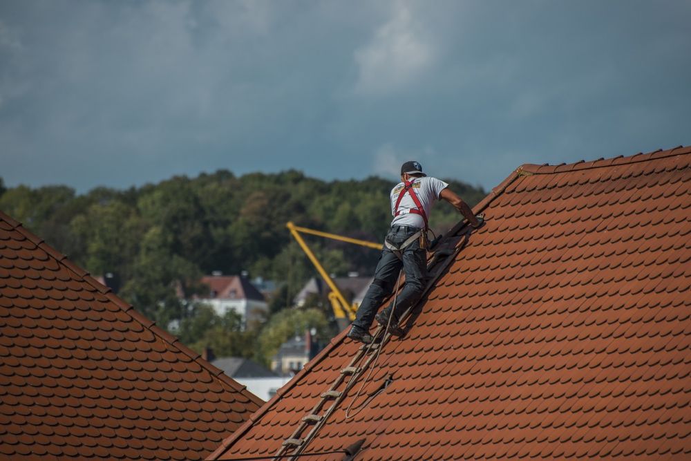 Takläggare som gör skillnad  kunskap, trygghet och hållbara tak
